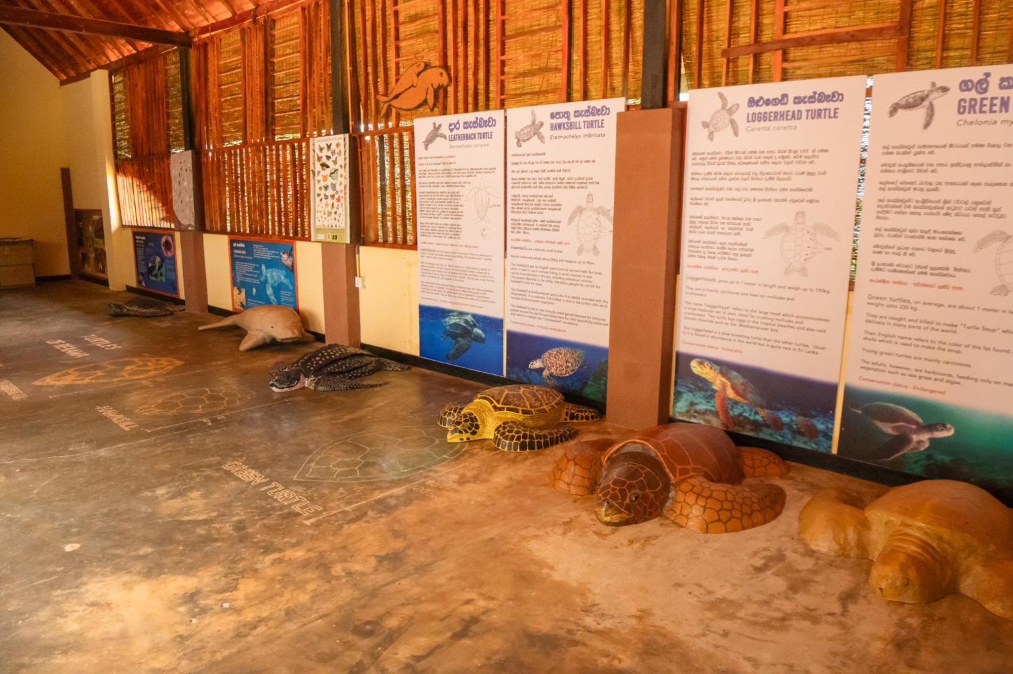 Rekawa Turtle Gate Hotel Tangalle Exteriör bild